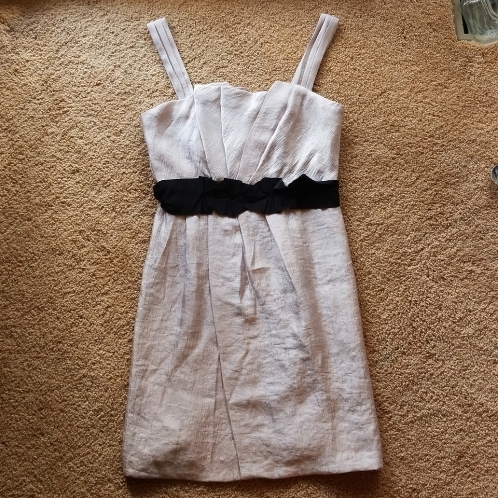 NWT Max and Cleo Dress Formal/Evening Dress 10